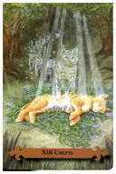 Таро мистических кошек (брошюра + 78 карт) — фото, картинка — 11