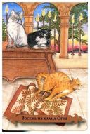 Таро мистических кошек (брошюра + 78 карт) — фото, картинка — 3