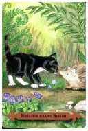 Таро мистических кошек (брошюра + 78 карт) — фото, картинка — 10