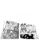 Берсерк. Комплект из 2 книг — фото, картинка — 10