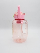 Бутылка для воды 