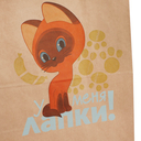 Пакет бумажный подарочный 