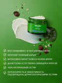 Ночной крем для лица 