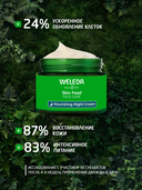 Ночной крем для лица 