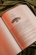 Шестерка воронов. Продажное королевство. Омнибус — фото, картинка — 13