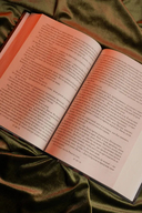 Шестерка воронов. Продажное королевство. Омнибус — фото, картинка — 14