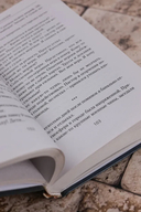 Меткий стрелок — фото, картинка — 5