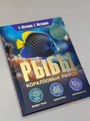 Рыбы коралловых рифов — фото, картинка — 2