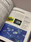 Рыбы коралловых рифов — фото, картинка — 4