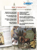 Тайная жизнь леса. Русская природа в фактах и зарисовках — фото, картинка — 3