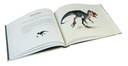 Тираннозавр Рекс и другие хищники мезозоя — фото, картинка — 8
