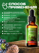 Водорастворимая аромакомпозиция эфирных масел 