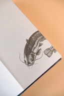 Дело о Чёрном Удильщике — фото, картинка — 4