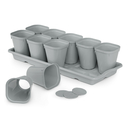 Набор для рассады (10 стаканов на поддоне) — фото, картинка — 1