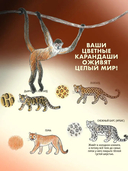 Школа рисования для начинающих. Милые животные — фото, картинка — 5