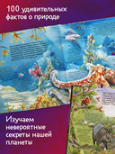 Что скрывает природа? — фото, картинка — 2