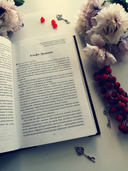 Старплекс — фото, картинка — 4