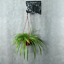 Кронштейн для кашпо 