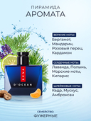 Парфюмерная вода для мужчин 