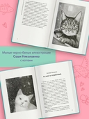 Счастливый хвост – счастливый я! — фото, картинка — 3