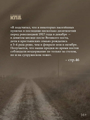 СВО XVII века — фото, картинка — 3