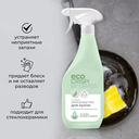 Средство для чистки кухни 