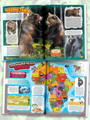 Животные — фото, картинка — 2