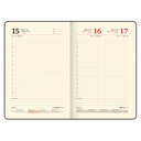 Ежедневник датированный на 2026 год 