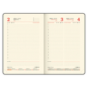 Ежедневник датированный на 2026 год 