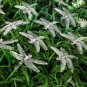 Гирлянда садовая на солнечной батарее 