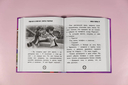 Леди Баг и Супер-Кот. Секреты Чудесных — фото, картинка — 8