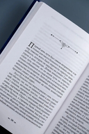 Генерал в своем лабиринте — фото, картинка — 5