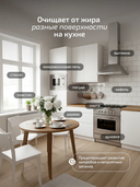 Средство для чистки кухни 