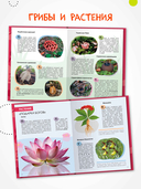 Детская энциклопедия. Красная книга — фото, картинка — 5