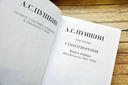 Пушкин Александр Сергеевич. Полное собрание сочинений в 20-ти томах. Том 3. Книга 1 — фото, картинка — 16