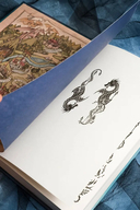 Залесье — фото, картинка — 7