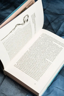 Залесье — фото, картинка — 9