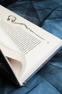 Залесье — фото, картинка — 10