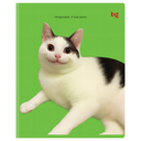 Тетрадь полуобщая в клетку 