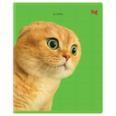 Тетрадь полуобщая в клетку 