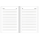 Ежедневник недатированный  Ежедневник недатированный