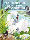 Секреты животных озера — фото, картинка — 3