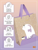 Пакет бумажный подарочный 