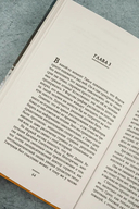 Холодное солнце — фото, картинка — 4