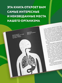 Очаровательный кишечник. Как самый могущественный орган управляет нами — фото, картинка — 3