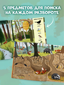 Найди и покажи. Животные в лесу — фото, картинка — 2