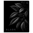 Тетрадь полуобщая в клетку 