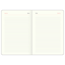 Ежедневник недатированный 