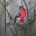 Набор для вышивания на пластиковой канве 