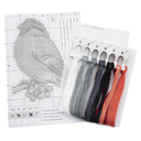 Набор для вышивания на пластиковой канве 